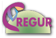 Site du Centre de Recherche en Géographie de l'Université de La Réunion Logo REGUR : Centre de Recherche en Géographie de l'Université de La Réunion